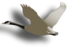 Captcha image 3241